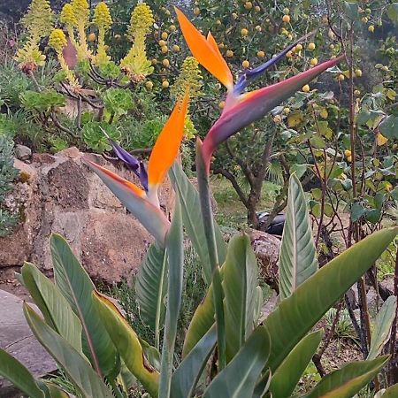 Villa Boheme Costa Brava Calonge  Eksteriør bilde