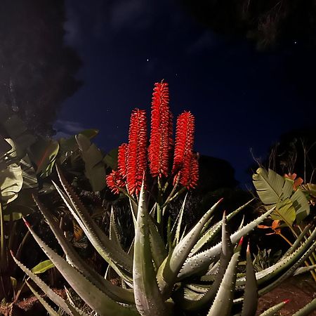 Villa Boheme Costa Brava Calonge  Eksteriør bilde