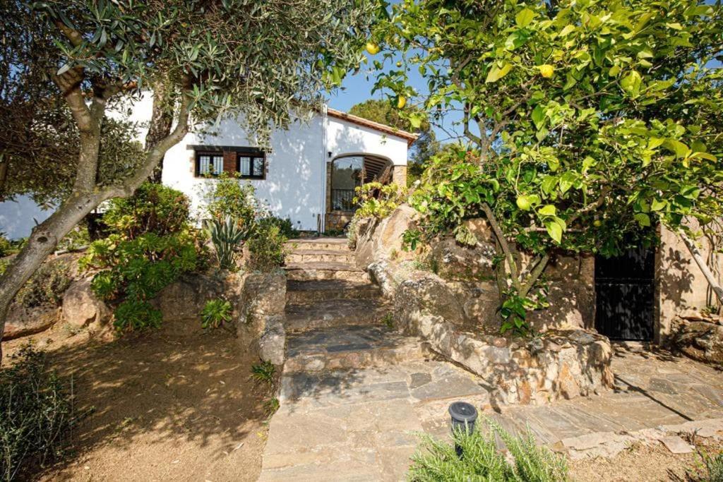 Villa Boheme Costa Brava Calonge  Eksteriør bilde