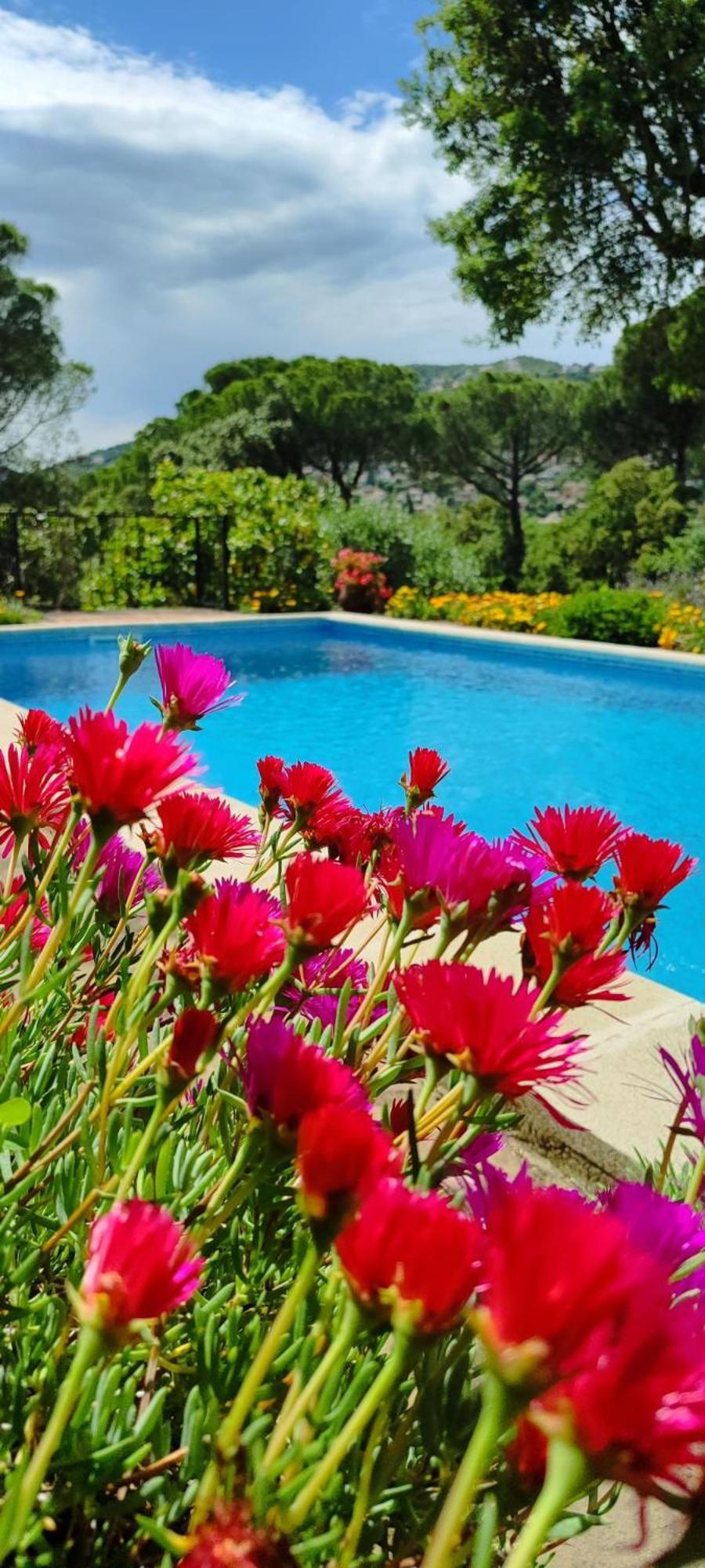 Villa Boheme Costa Brava Calonge  Eksteriør bilde